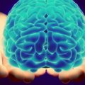 ricdip_16_neurosc